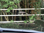 LEXUS GX550