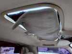 CARAVAN coach