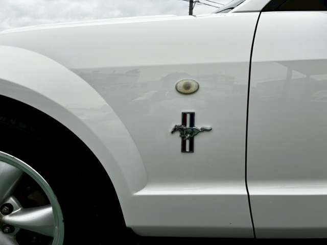 FORD MUSTANG