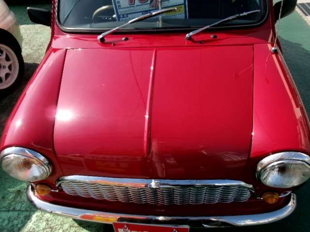 ROVER MINI