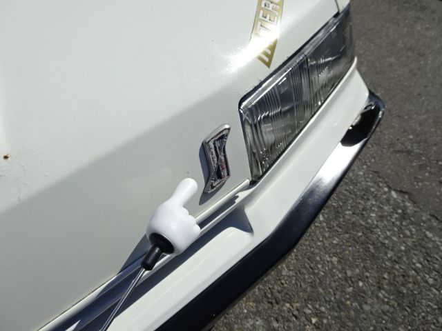 SKYLINE coupe
