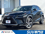 LEXUS NX300