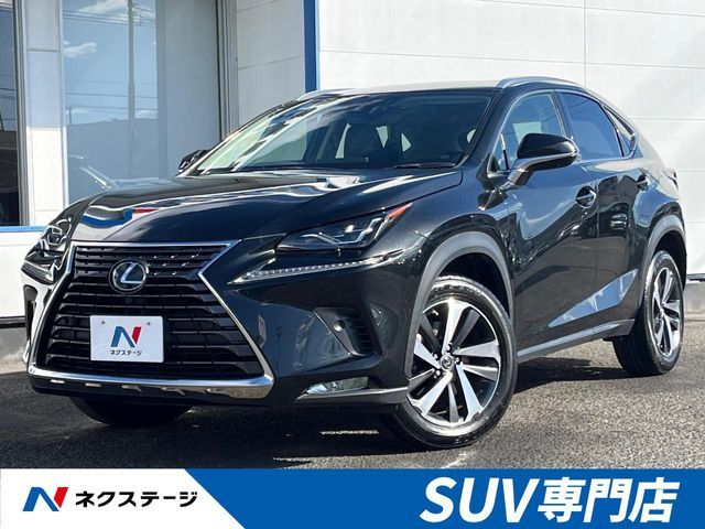 LEXUS NX300