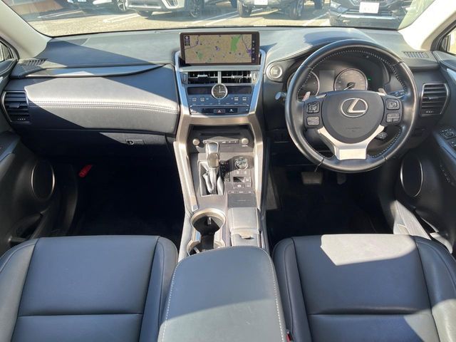LEXUS NX300