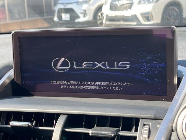 LEXUS NX300