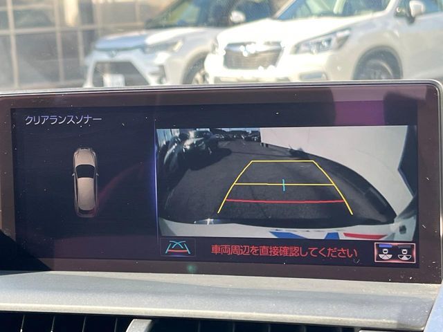 LEXUS NX300