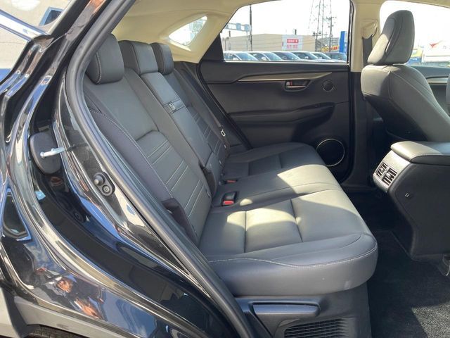 LEXUS NX300