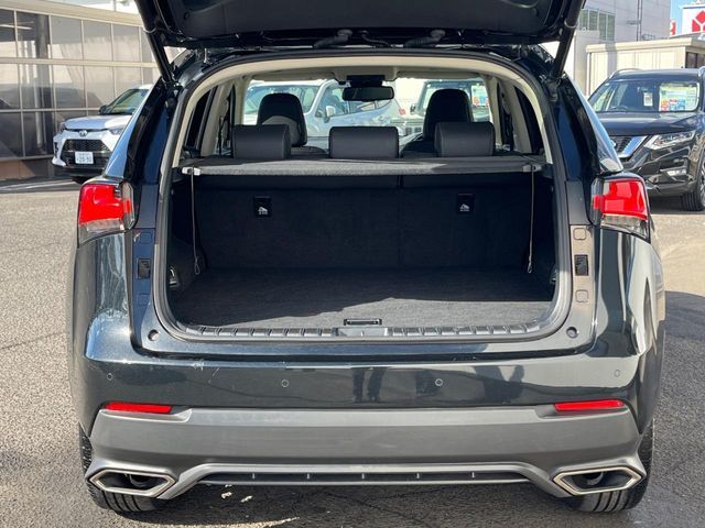 LEXUS NX300