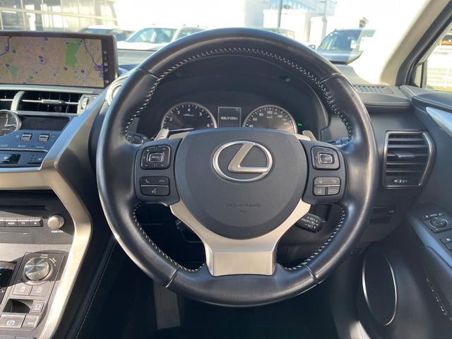 LEXUS NX300