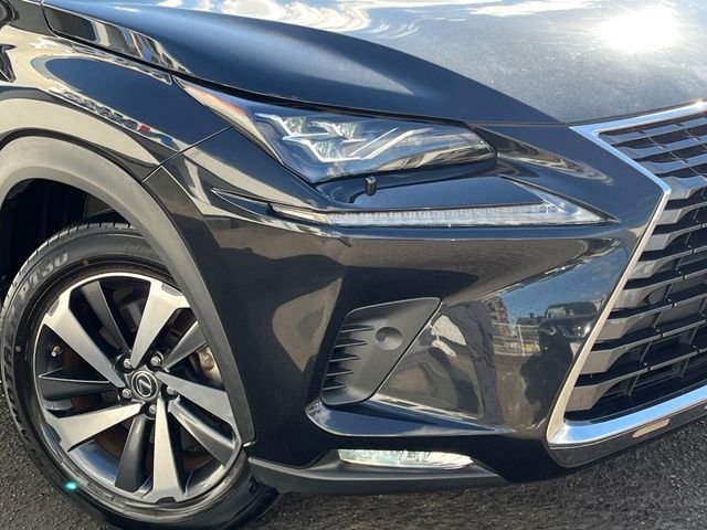 LEXUS NX300
