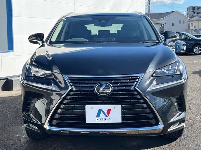 LEXUS NX300