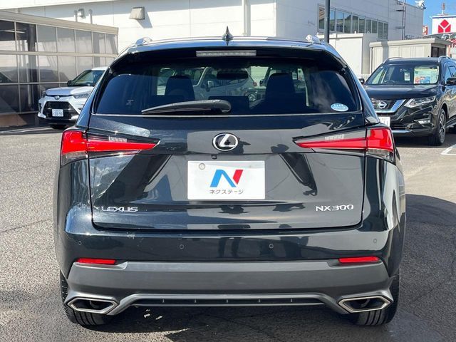 LEXUS NX300