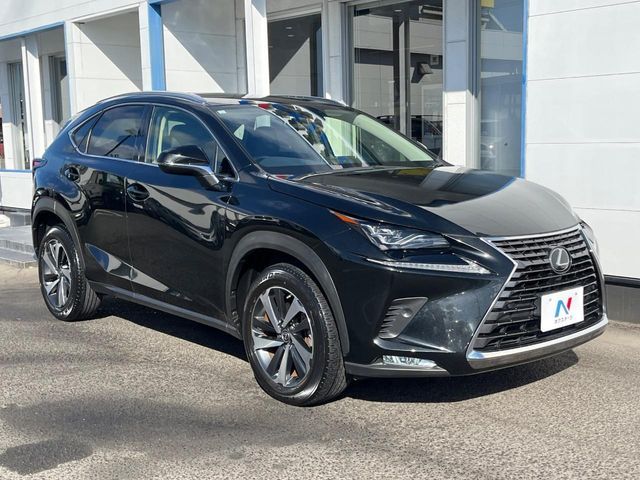 LEXUS NX300