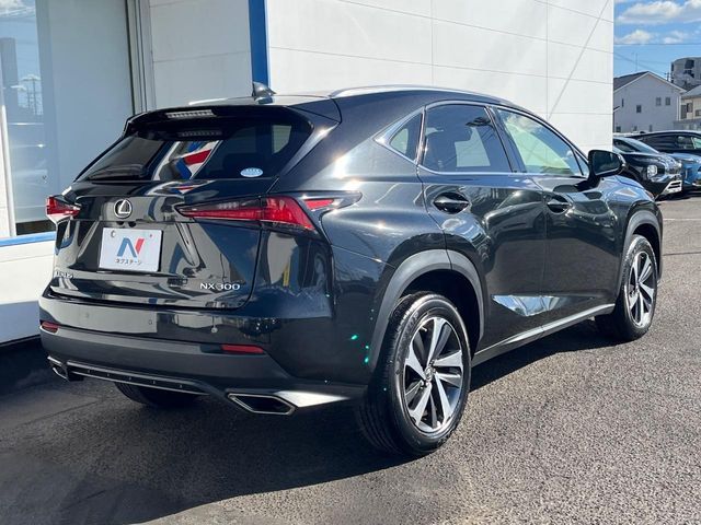 LEXUS NX300