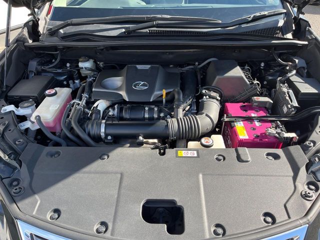LEXUS NX300