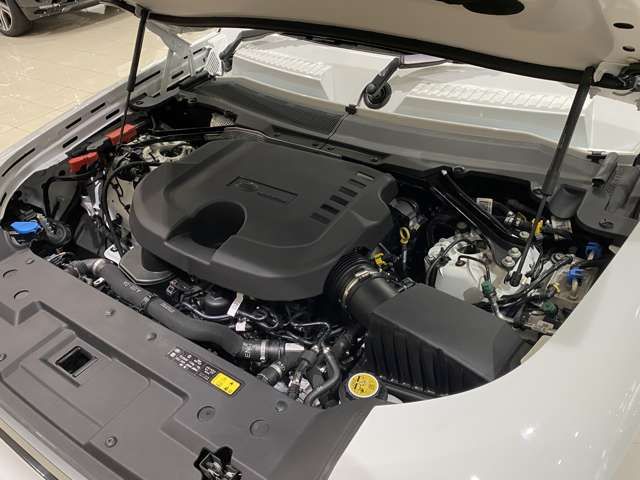 ROVER DEFENDER