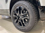 ROVER DEFENDER