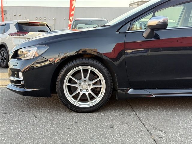 LEVORG