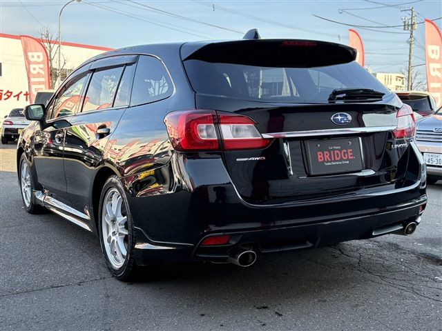LEVORG