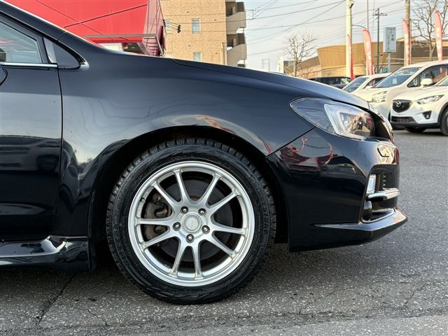 LEVORG