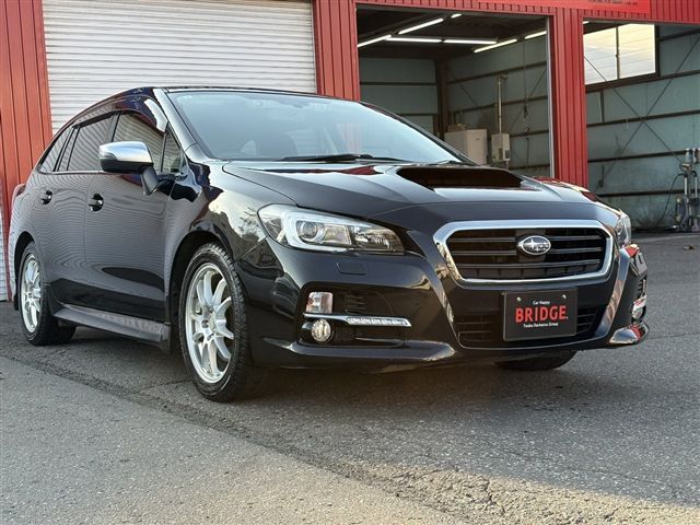 LEVORG