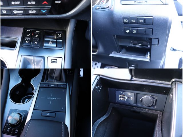 LEXUS RX300
