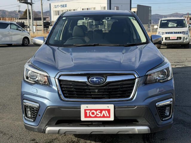 FORESTER