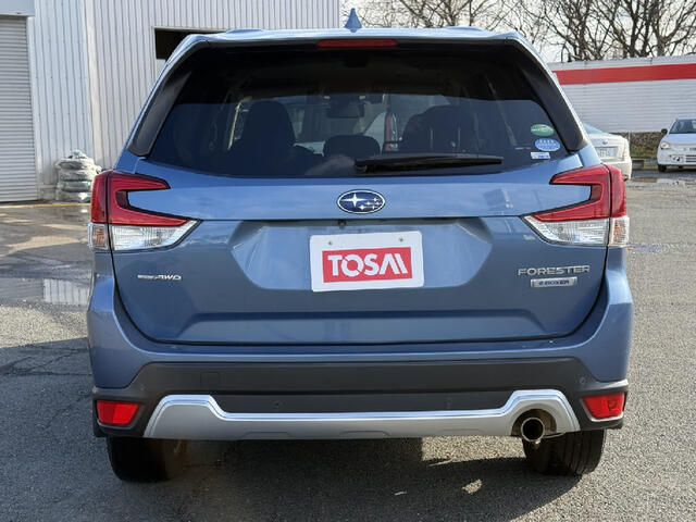 FORESTER