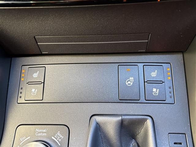LEXUS IS300h