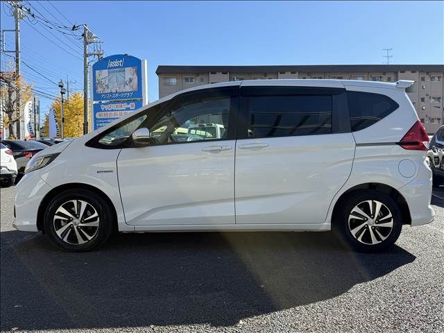 FREED plus HYBRID