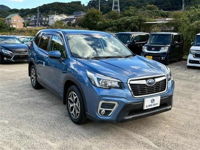 FORESTER