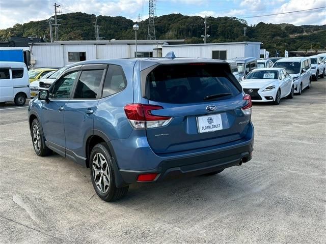FORESTER