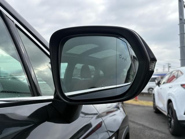 LEXUS RX300