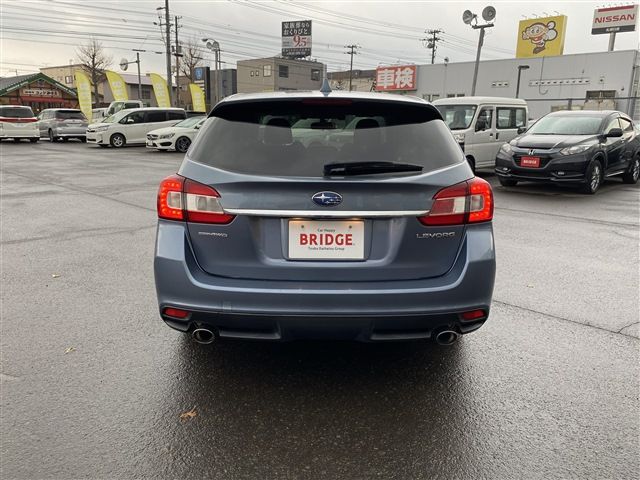 LEVORG