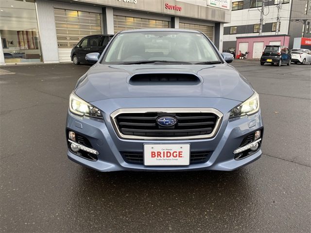 LEVORG