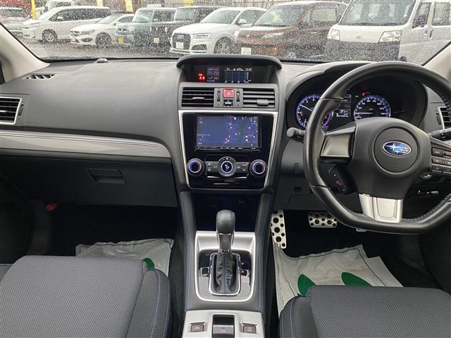 LEVORG