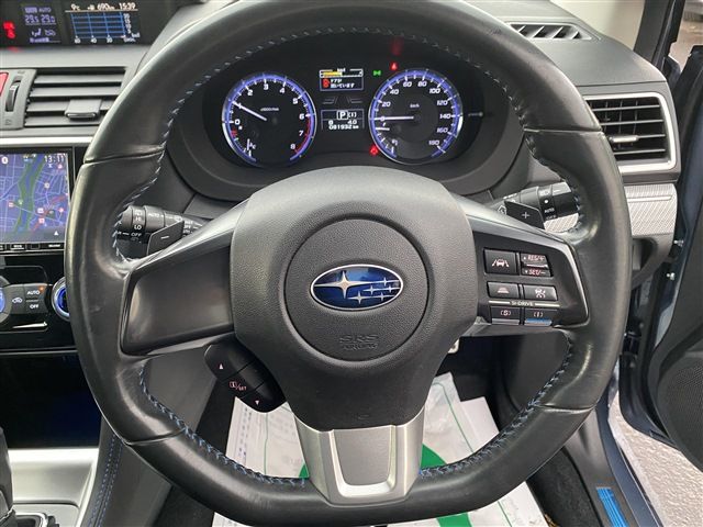 LEVORG