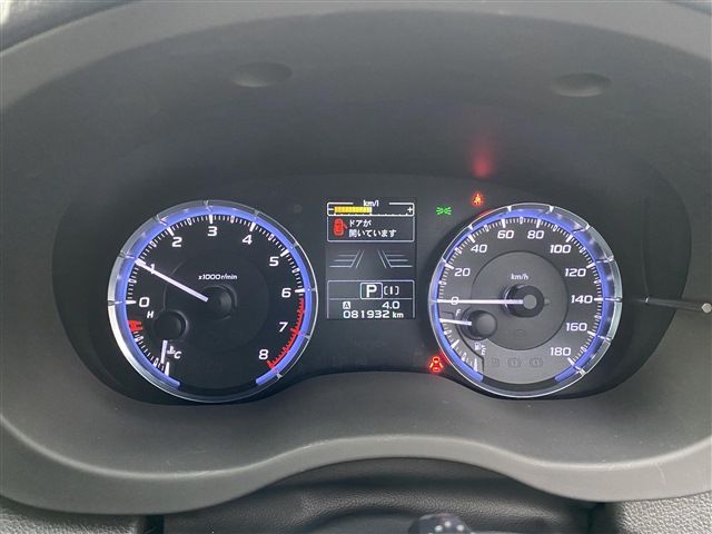 LEVORG
