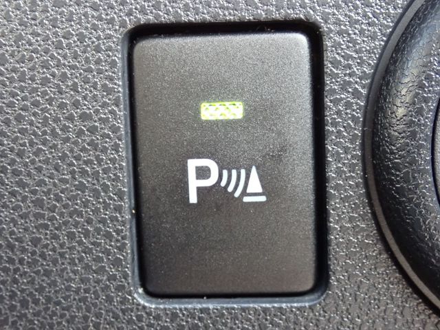 MIRA e:S