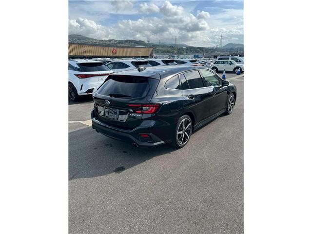 LEVORG