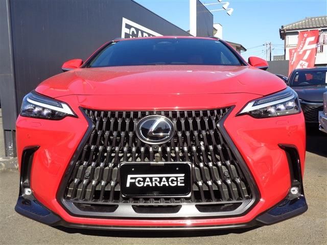 LEXUS NX450h+ AWD
