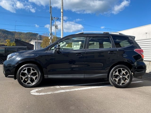 FORESTER