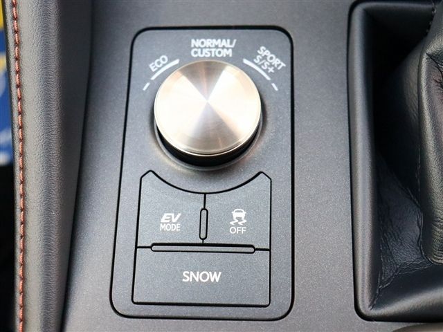 LEXUS RC300h