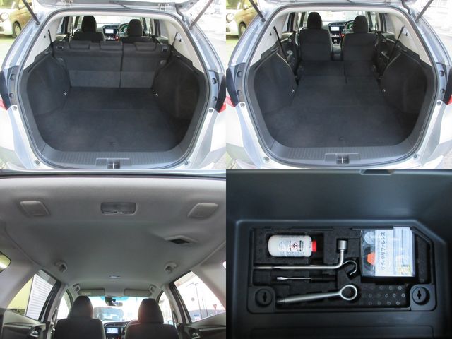 SHUTTLE HYBRID
