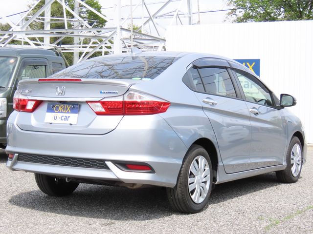 GRACE HYBRID
