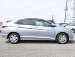 GRACE HYBRID