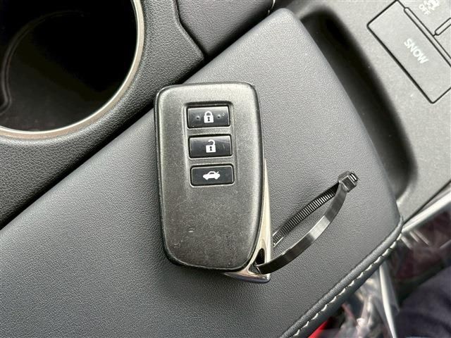 LEXUS IS300h