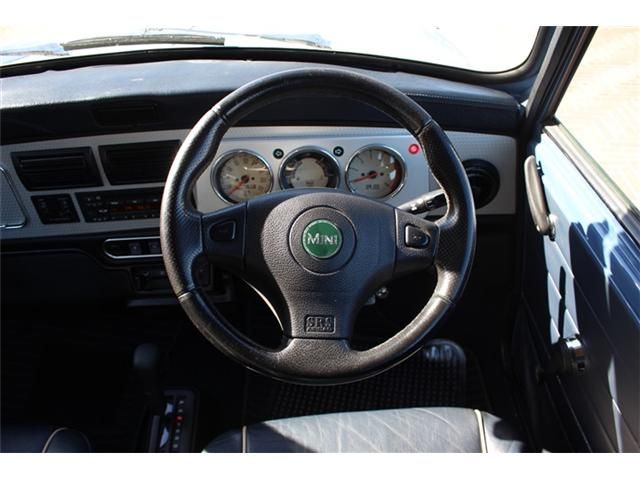 ROVER MINI