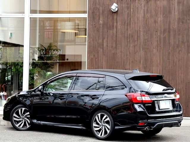 LEVORG