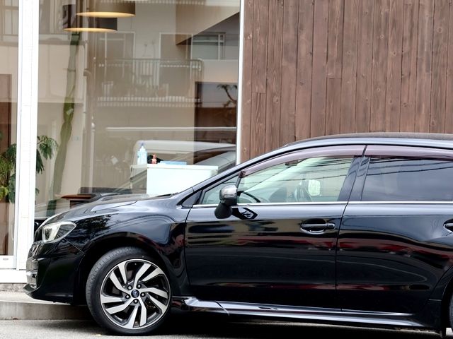 LEVORG